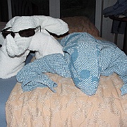 Picture 033
